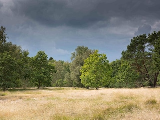 Ferienhaus Udsholt Strand Außenaufnahme 4