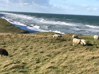 Holiday house Udsholt Strand Outdoor Recording 12