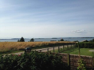 Ferienhaus Millinge Außenaufnahme 2