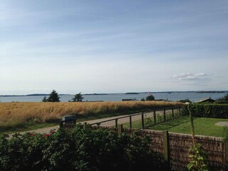 Ferienhaus Millinge  17