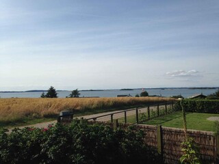 Ferienhaus Millinge Außenaufnahme 5