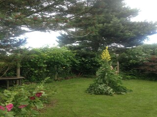 Ferienhaus Millinge Außenaufnahme 9