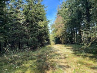 Vakantiehuis Fjerritslev Buitenaudio-opname 5