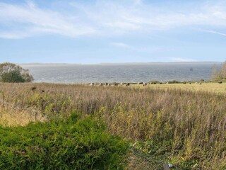 Ferienhaus Ølsted Außenaufnahme 11