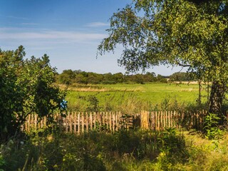Ferienhaus Bjerge Strand Außenaufnahme 1