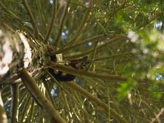 Ferienhaus Bjerge Strand  7