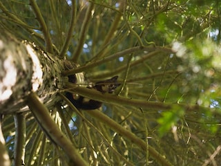 Ferienhaus Bjerge Strand  9