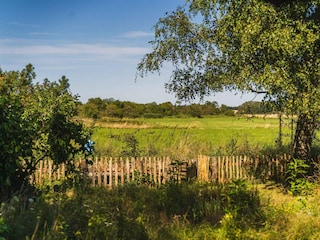 Ferienhaus Bjerge Strand Außenaufnahme 4