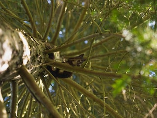 Ferienhaus Bjerge Strand  15