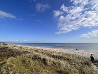 Ferienhaus Marielyst  10