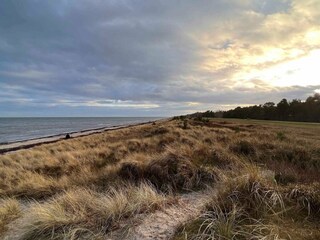 Ferienhaus Marielyst  11