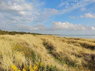 Vakantiehuis Lumsås Buitenaudio-opname 23