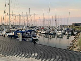 Holiday house Læsø Outdoor Recording 5