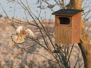 Holiday house Tuse Næs  30