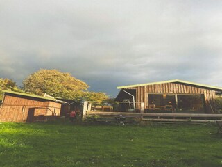 Ferienhaus Veddinge Außenaufnahme 11