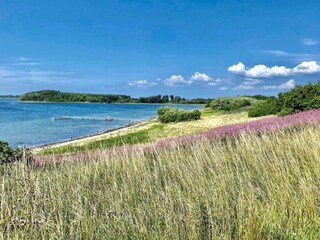 Vakantiehuis Vellerup  7