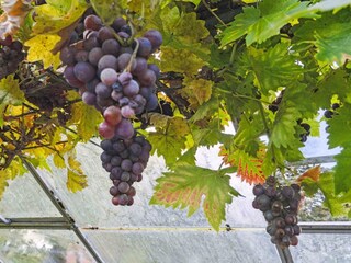 Ferienhaus Årøsund Außenaufnahme 16