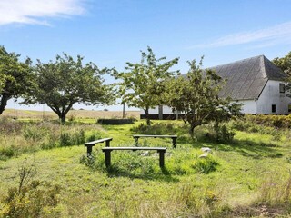 Holiday house Bagenkop Outdoor Recording 3