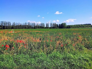 Ferienhaus Bagenkop  18