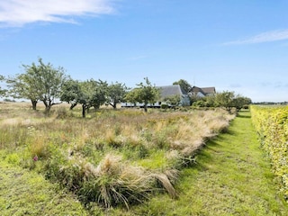 Vakantiehuis Bagenkop  20