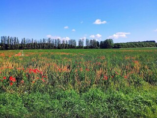 Holiday house Bagenkop  19
