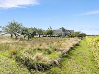 Holiday house Bagenkop  20