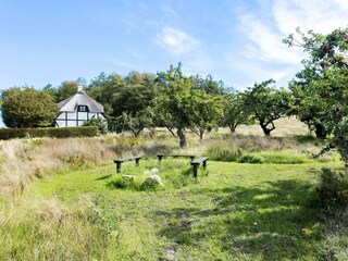 Ferienhaus Bagenkop  22