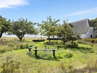 Holiday house Bagenkop Outdoor Recording 6