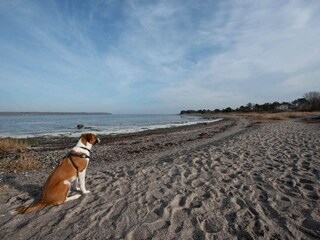Vakantiehuis Tuse Næs  16