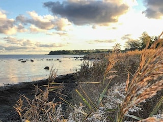 Holiday house Tuse Næs  17