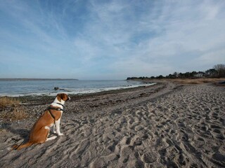 Vakantiehuis Tuse Næs  20