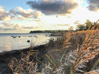 Vakantiehuis Tuse Næs  21