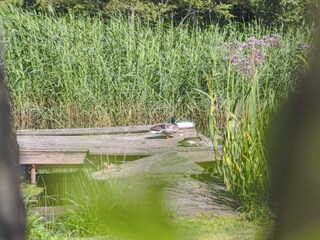 Vakantiehuis Gilleleje Buitenaudio-opname 11