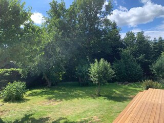 Ferienhaus Djursland Außenaufnahme 4