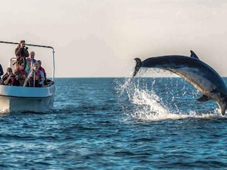 Ferienhaus Harboøre  9