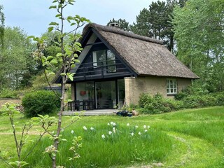 Ferienhaus Aarhus Außenaufnahme 3