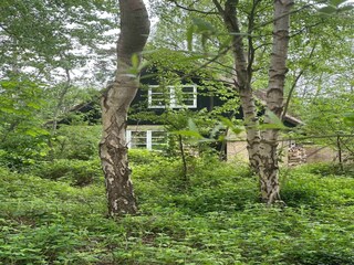 Ferienhaus Aarhus Außenaufnahme 5