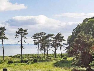 Vakantiehuis Aarhus Buitenaudio-opname 2