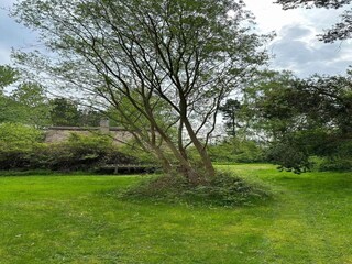 Vakantiehuis Aarhus Buitenaudio-opname 12