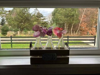 Holiday house Gedser  18