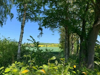 Vakantiehuis Nexø  14