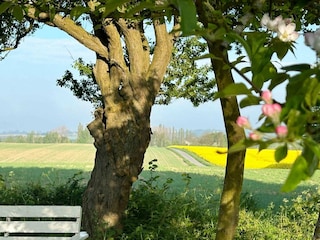 Ferienhaus Borre Außenaufnahme 3