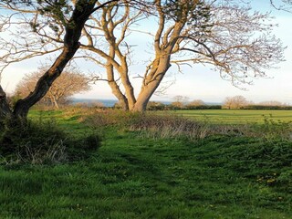Vakantiehuis Ærøskøbing  4