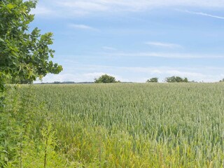 Vakantiehuis Torrig Buitenaudio-opname 10