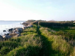 Ferienhaus Bagenkop  18