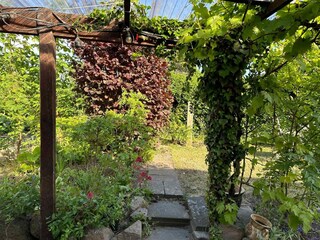 Ferienhaus Allinge Außenaufnahme 6