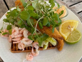 Ferienhaus Skagen  14