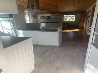 Holiday house Trend  12