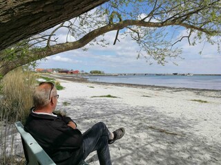 Ferienhaus Snogebæk Außenaufnahme 13