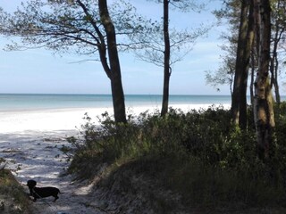 Vakantiehuis Snogebæk Buitenaudio-opname 14